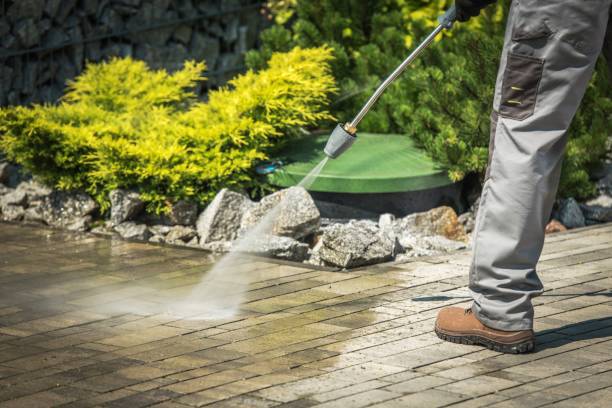 Best Pool Deck Cleaning  in Davison, MI