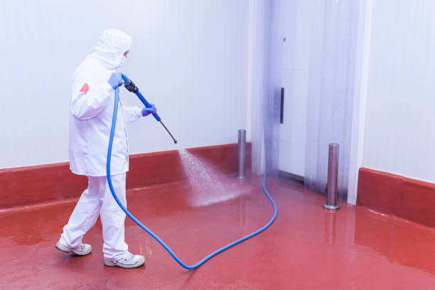 Best Gas Station Cleaning  in Davison, MI